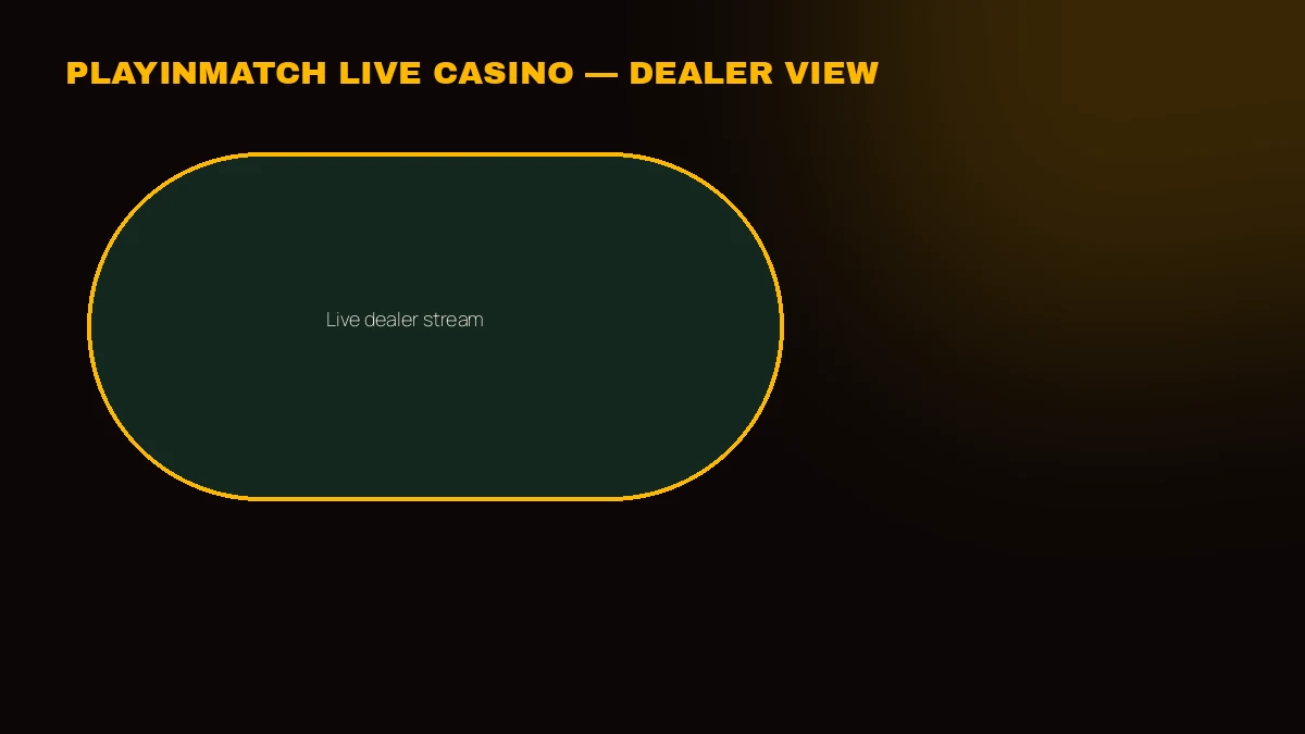 PlayinMatch VIP live casino table with dealer and bet spots